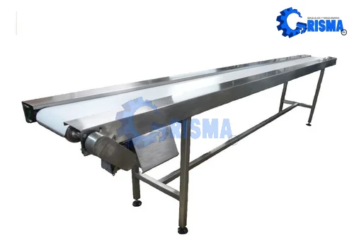 Cinta Transportadora